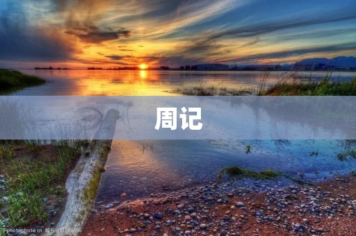 周记:一场难忘的音乐会 周记:一场难忘的音乐会