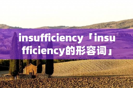 insufficiency「insufficiency的形容词」