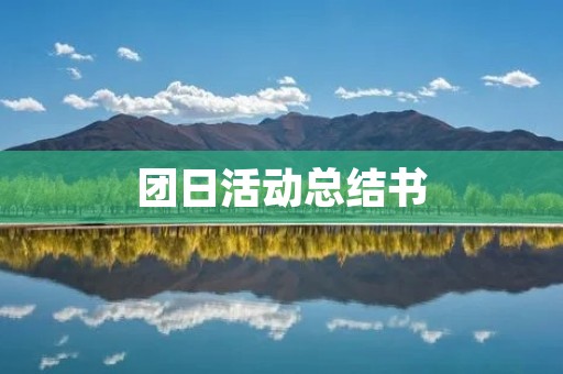 团日活动总结书