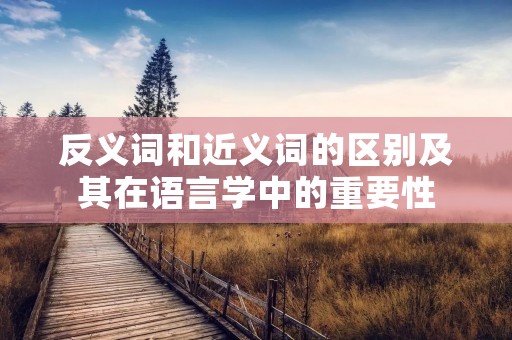 反义词和近义词的区别及其在语言学中的重要性