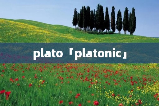 plato「platonic」
