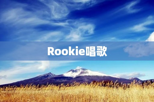 Rookie唱歌：如何成为一名优秀的歌手