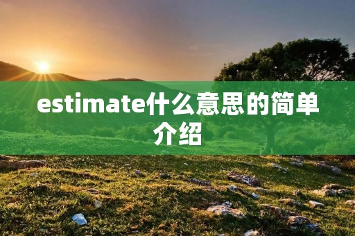 estimate什么意思的简单介绍