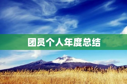 团员个人年度总结:回顾成长路,勇攀新高峰