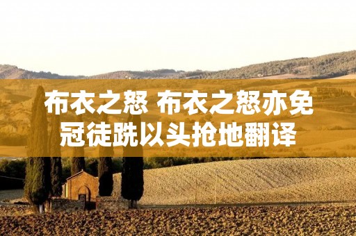 布衣之怒 布衣之怒亦免冠徒跣以头抢地翻译