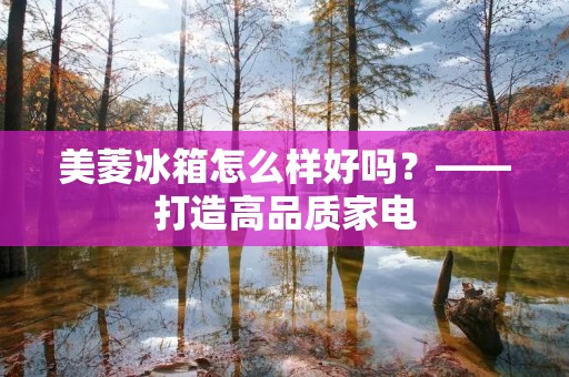 美菱冰箱怎么样好吗？——打造高品质家电
