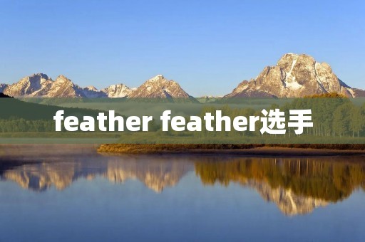 feather feather选手
