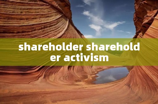shareholder shareholder activism