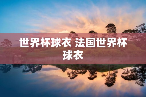 世界杯球衣 法国世界杯球衣