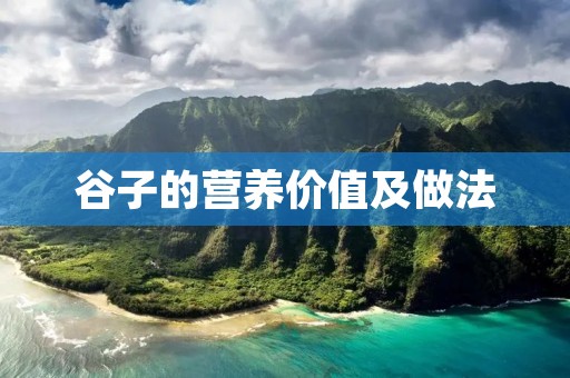 谷子的营养价值及做法