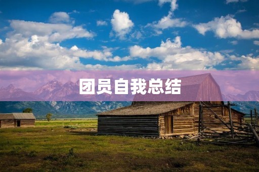 团员自我总结:我与团队的成长历程