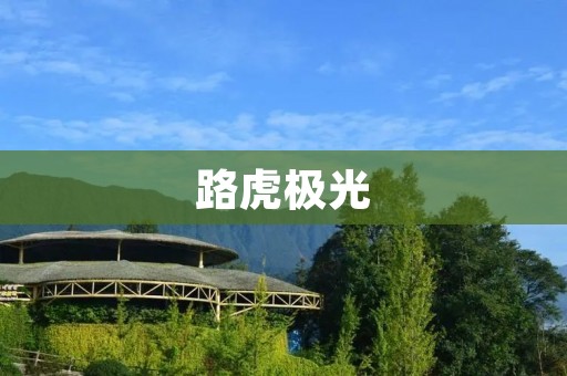 路虎极光:领先时尚与豪华的跨界SUV 路虎极光:领先时尚与豪华的跨界SUV