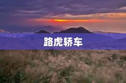 路虎轿车:极致奢华与卓越性能的完美结合 路虎轿车:极致奢华与卓越性能的完美结合