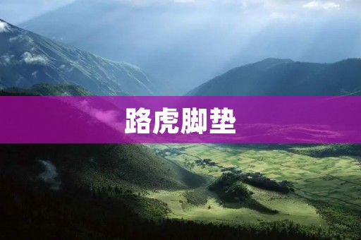 路虎脚垫:为你的车内增添舒适感 路虎脚垫:为你的车内增添舒适感