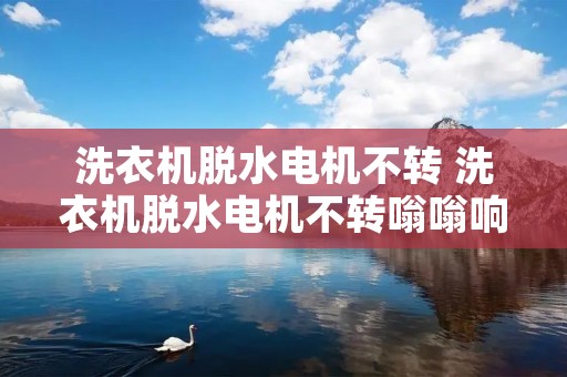 洗衣机脱水电机不转 洗衣机脱水电机不转嗡嗡响是什么原因