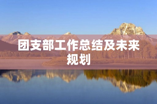 团支部工作总结及未来规划