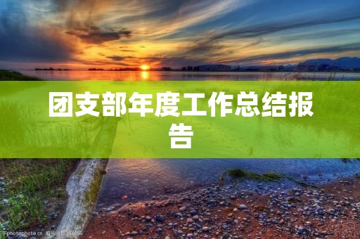 团支部年度工作总结报告