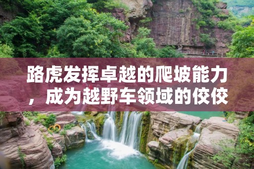 路虎发挥卓越的爬坡能力,成为越野车领域的佼佼者 路虎发挥卓越的爬坡能力,成为越野车领域的佼佼者