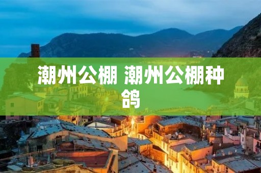 潮州公棚 潮州公棚种鸽