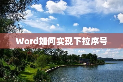 Word如何实现下拉序号