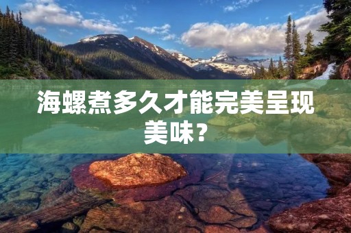 海螺煮多久才能完美呈现美味? 海螺煮多久才能完美呈现美味?