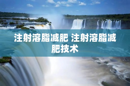 注射溶脂减肥 注射溶脂减肥技术