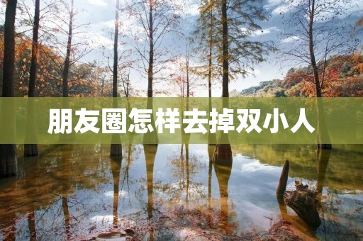 朋友圈怎样去掉双小人