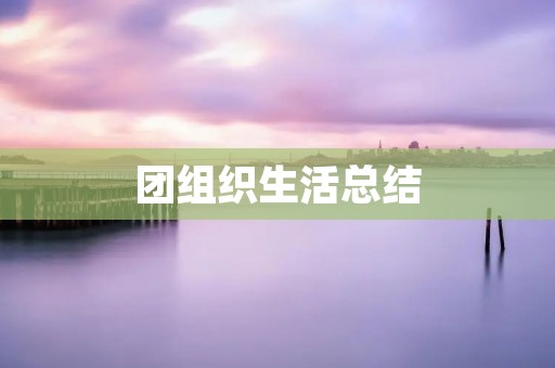团组织生活总结:探索共同成长之路