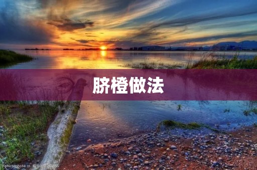 脐橙做法：让你轻松制作美味脐橙饮品