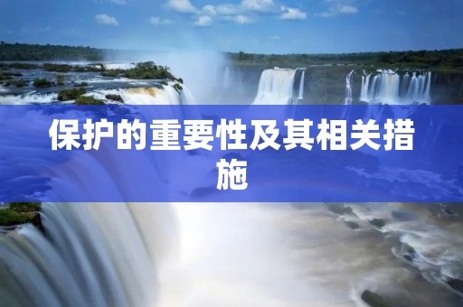 保护的重要性及其相关措施