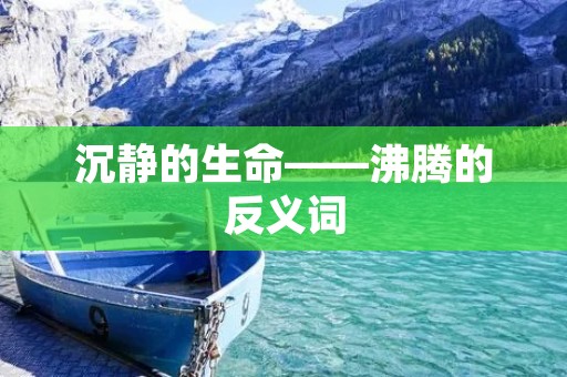 沉静的生命——沸腾的反义词