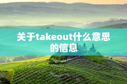 关于takeout什么意思的信息