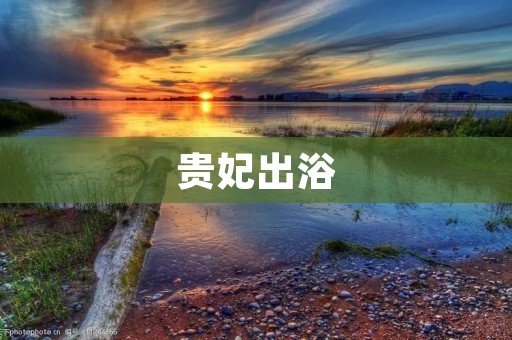 贵妃出浴：一幅唯美的古代画卷