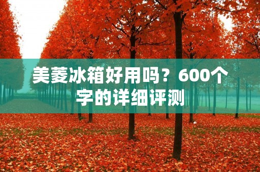 美菱冰箱好用吗？600个字的详细评测