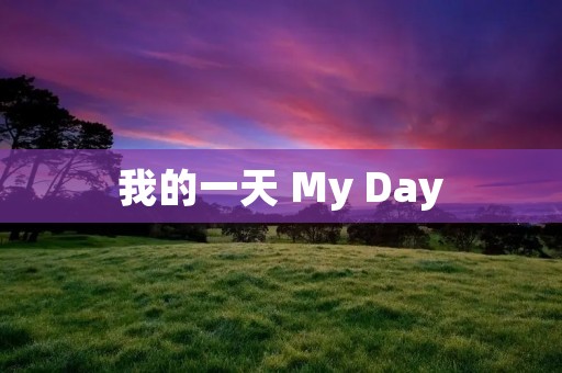 我的一天 My Day