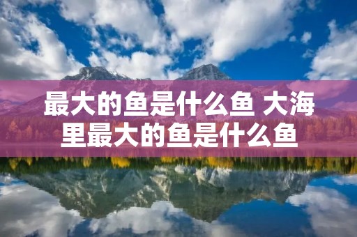 最大的鱼是什么鱼 大海里最大的鱼是什么鱼 最大的鱼是什么鱼 大海里最大的鱼是什么鱼