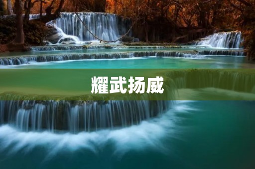 耀武扬威:权力的滥用与社会的损失