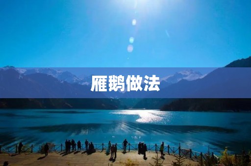 雁鹅做法:让你在家也能吃到正宗的美食 雁鹅做法:让你在家也能吃到正宗的美食