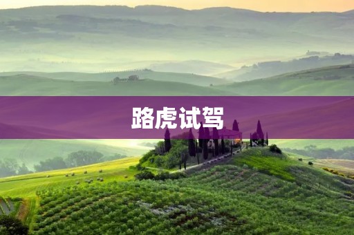 路虎试驾:探究SUV的极致驾驭体验 路虎试驾:探究SUV的极致驾驭体验