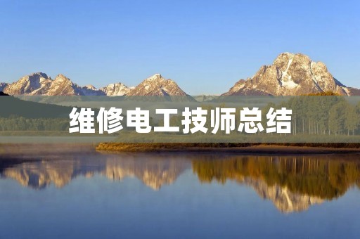 维修电工技师总结