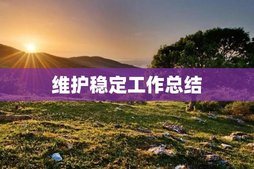 维护稳定工作总结