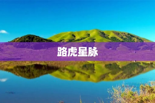 路虎星脉:探索未知的新时代 路虎星脉:探索未知的新时代