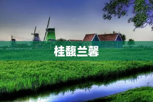 桂馥兰馨:一场美丽的花卉盛宴 桂馥兰馨:一场美丽的花卉盛宴