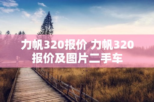 力帆320报价 力帆320报价及图片二手车