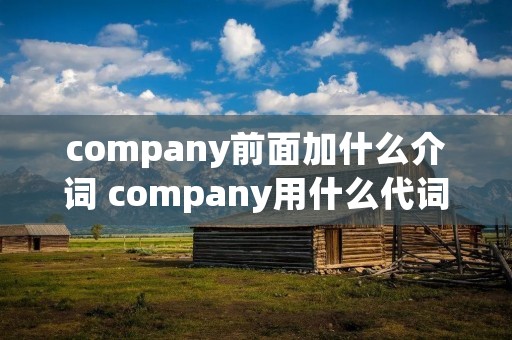 company前面加什么介词 company用什么代词