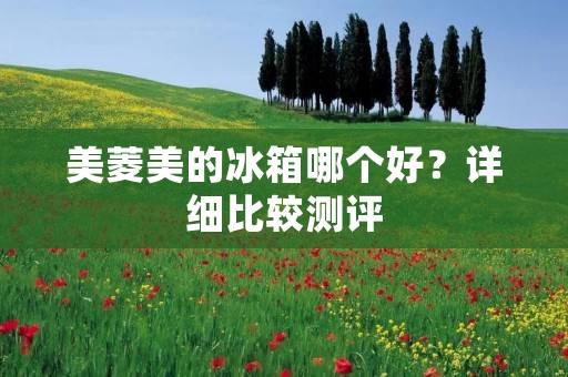美菱美的冰箱哪个好？详细比较测评
