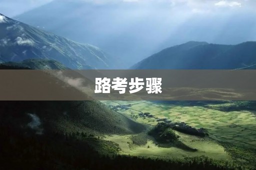 路考步骤：如何顺利通过驾照路考
