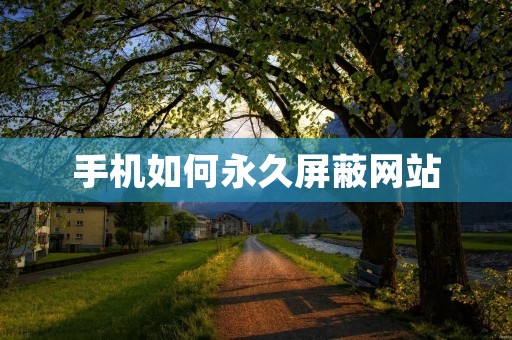 手机如何永久屏蔽网站