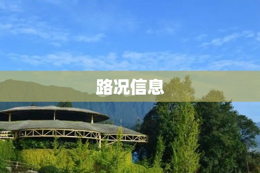 路况信息：实时掌握道路状况，安全行车从此不再难