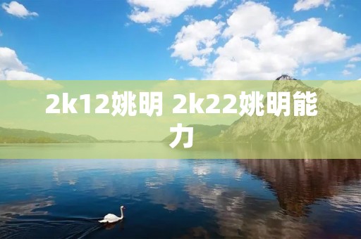 2k12姚明 2k22姚明能力